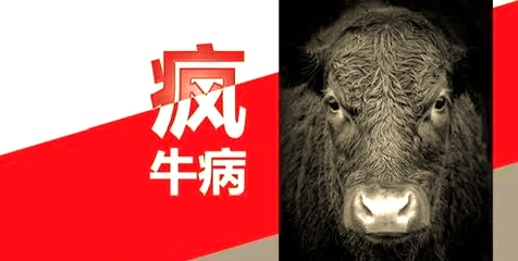 深入了解&ldquo;疯牛病&rdquo;:一种不可忽视的神经系统疾病